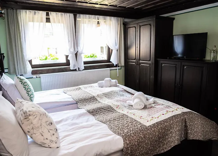 Pensjonat къща етно 3*